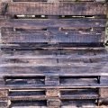 pallet-bench