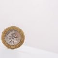 One pound coin